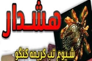 افزایش دما و احتمال شیوع تب کریمه کنگو