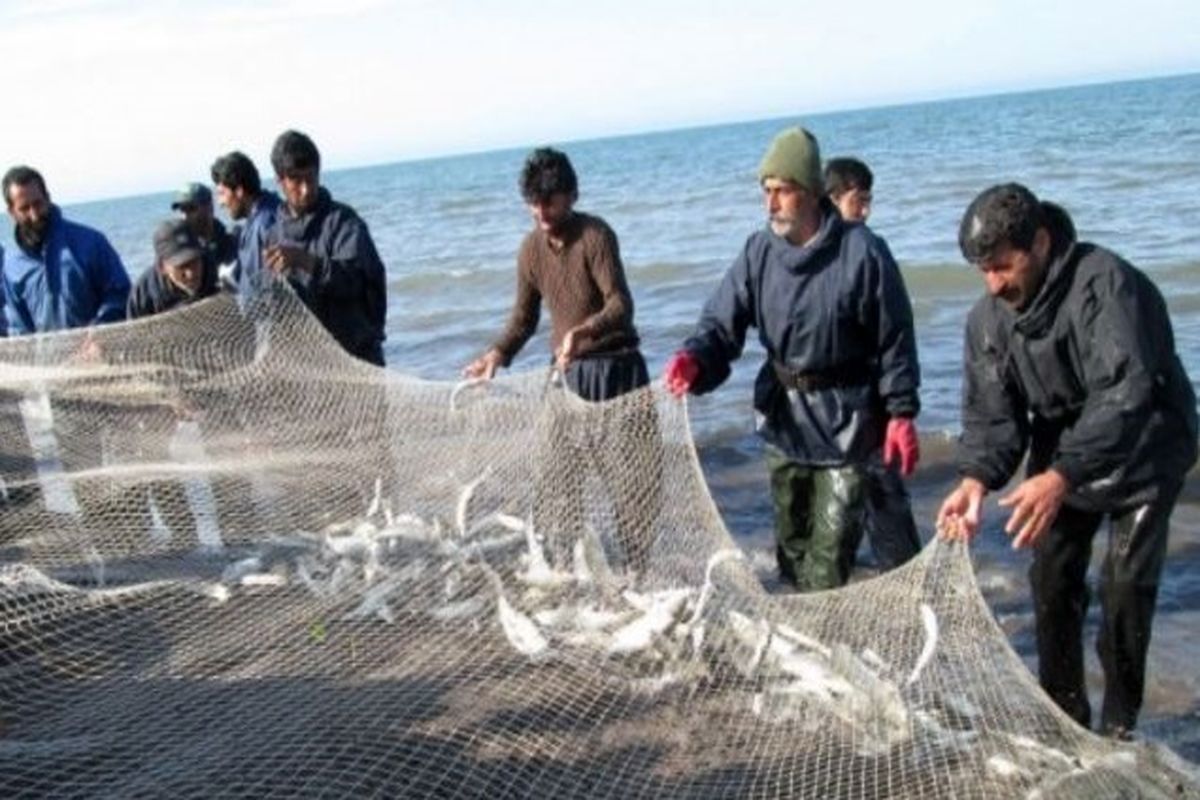 شیلات + هرمزگان