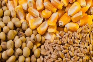 پتروشیمی لردگان منبع اصلی تأمین کودهای شیمیای