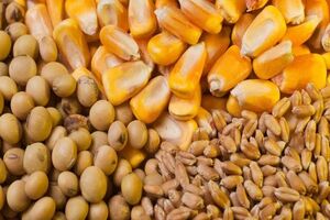 پتروشیمی لردگان منبع اصلی تأمین کودهای شیمیای