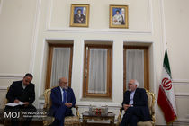 دیدار معاون وزیر امور خارجه ونزوئلا با محمدجواد ظریف