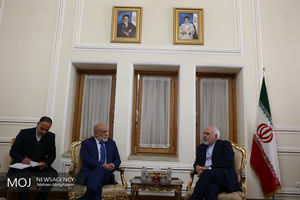 دیدار معاون وزیر امور خارجه ونزوئلا با محمدجواد ظریف