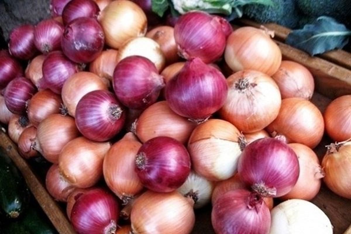 اصفهان- پیاز پاکستانی