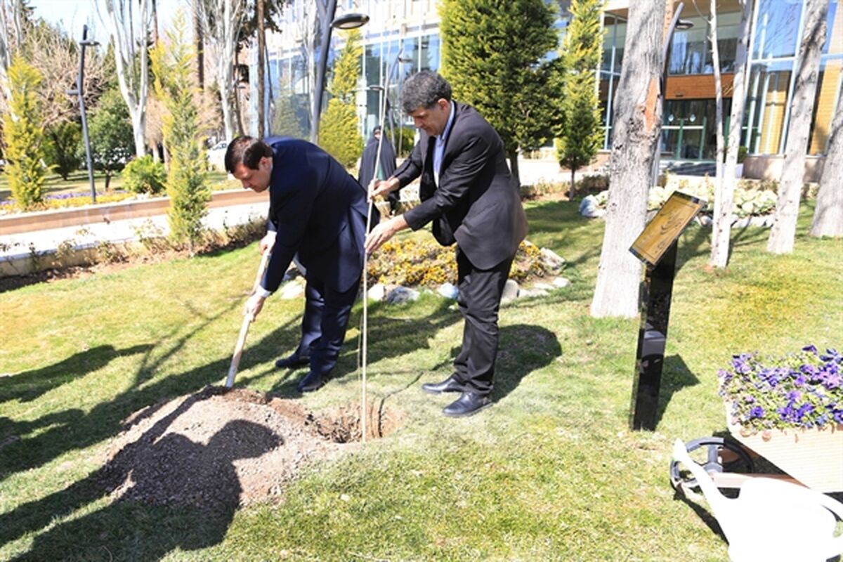 کشاورزی