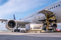 کاهش ۱۳ درصدی بار هوایی از هند به آمریکا پس از تعرفه‌های ۵۰ درصدی