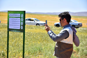 شهرستان درگز، رتبه نخست طرح امنیت غذایی را در خراسان رضوی بدست آورد