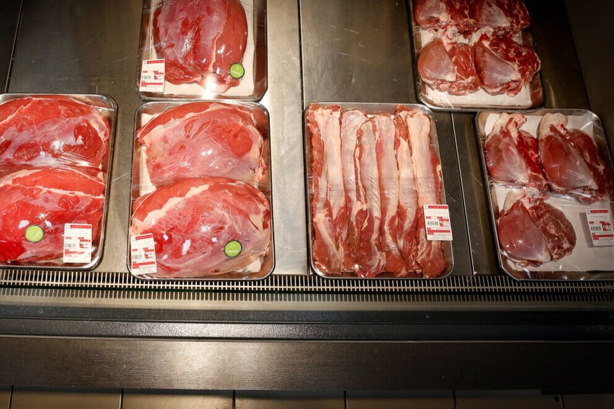 محصولات دامی