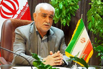 جهاد کشاورزی از سرمایه گذاران در طرح زراعت چوب حمایت می کند