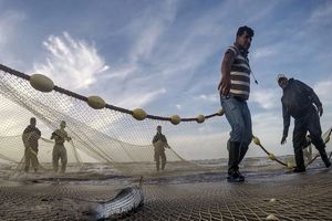 صیادان بومی از صید های مخرب در آب های کم عمق ساحلی هراس دارند