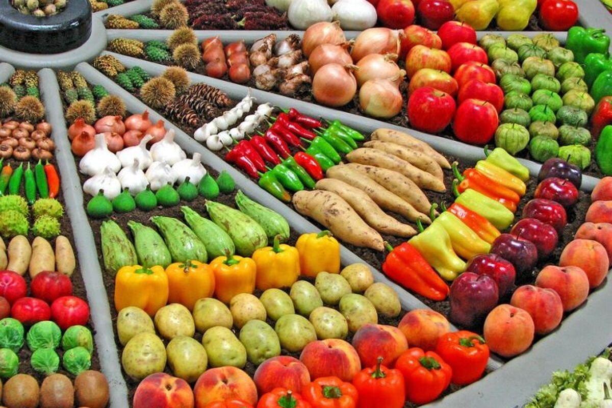 محصولات جالیزی