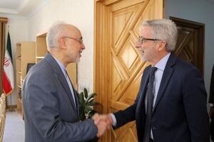 دیدار صمیمانه سفیر فرانسه با علی‌اکبر صالحی در بنیاد ایران‌شناسی