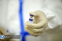 مینابی ها از واکسن برکت بسیار خوب استقبال  کردند