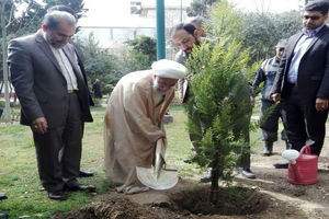 آیت الله جنتی یک نهال کاشت