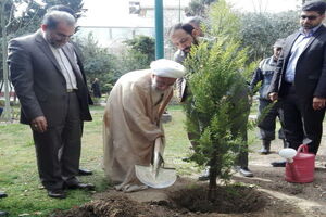 آیت الله جنتی یک نهال کاشت