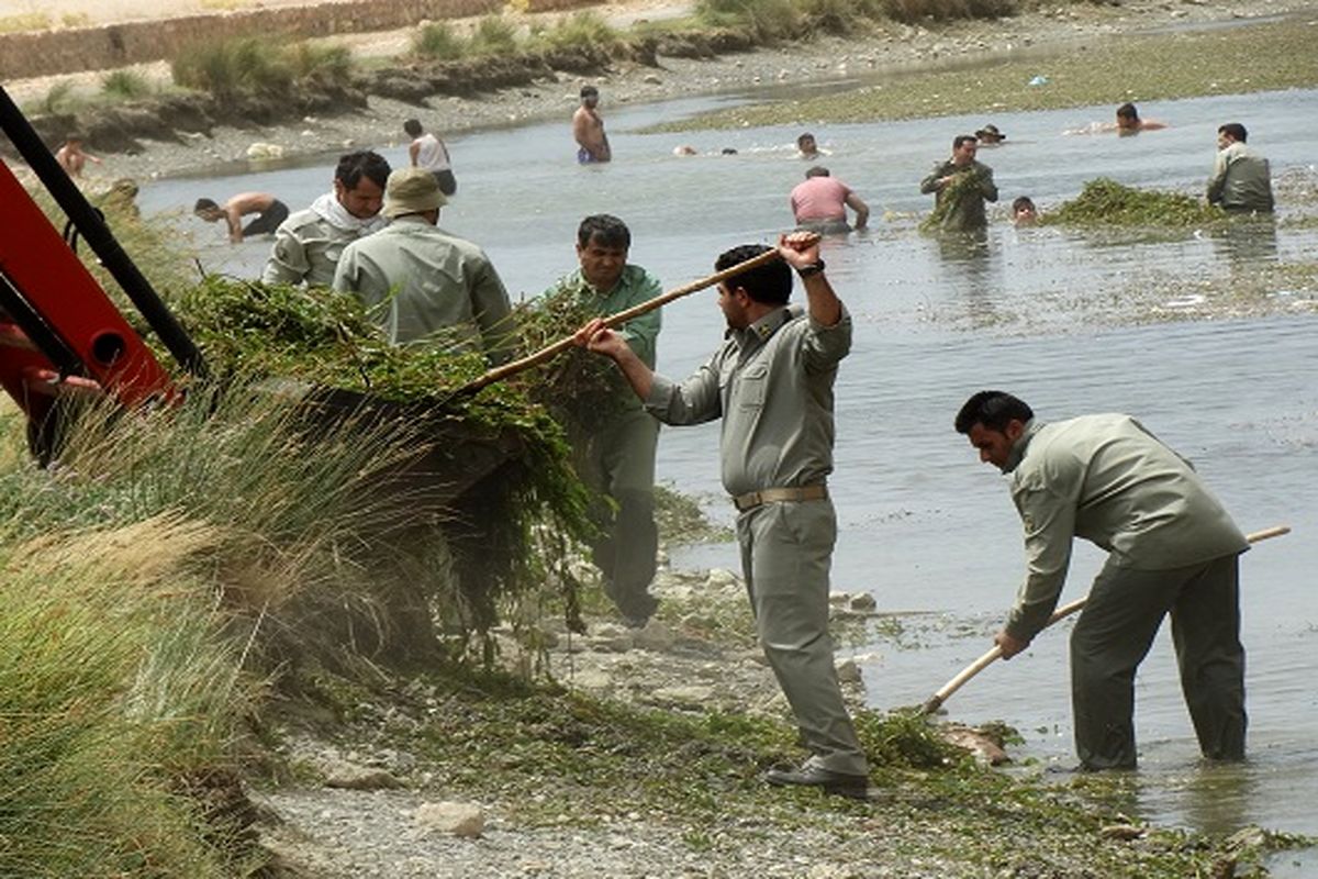 پاک سازی سراب نیلوفر و تالاب هشیلان