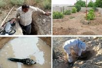 شناسایی بیش از ۲ هزار فقره استفاده غیرمجاز از تاسیسات آب و فاضلاب در فارس