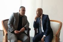 عزم ایران برای گسترش تعاملات راهبردی انرژی با آفریقای جنوبی