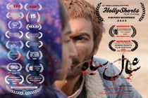 درخشش «شال سیاه» در جشنواره اسکار 