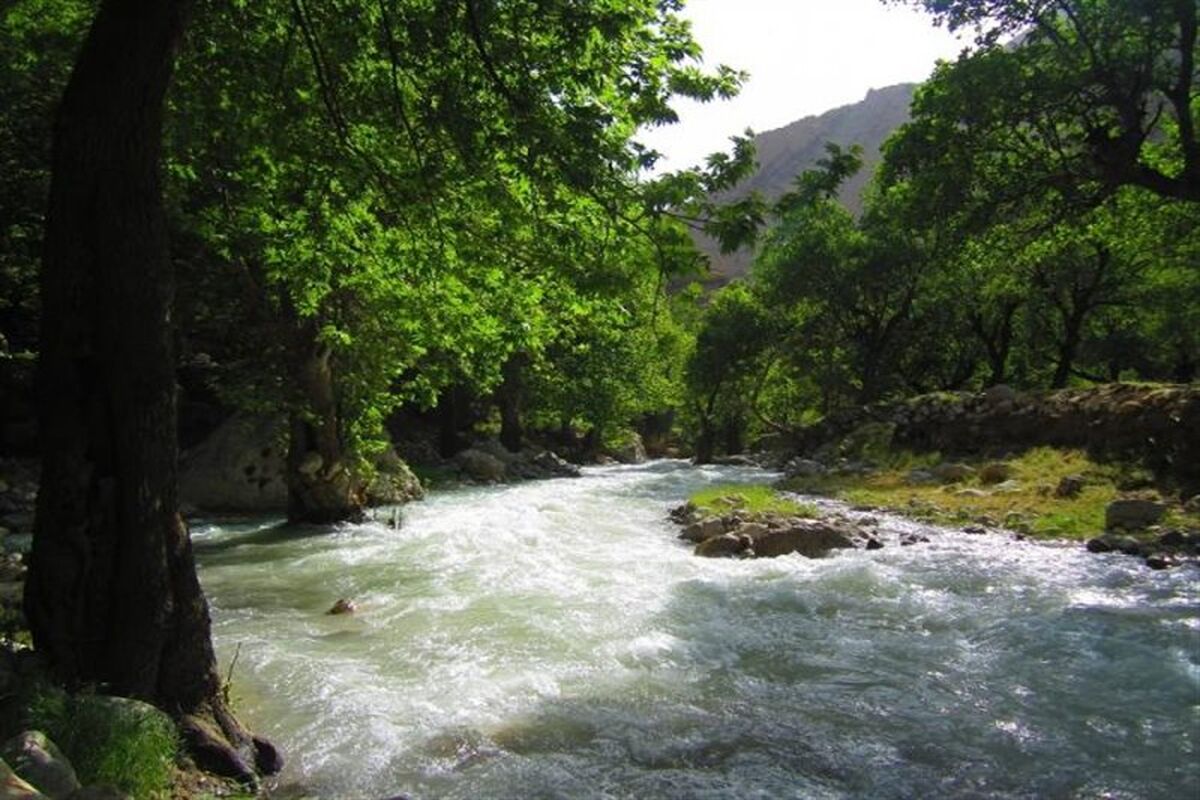 باغملک 