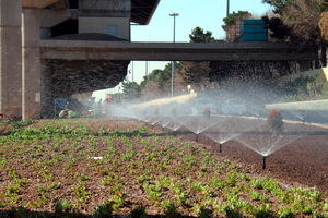 حذف آبیاری تانکری در فضای سبز منطقه ۵ قم