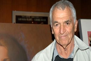 نویسنده مجموعه فیلم‌های مرد عنکبوتی درگذشت