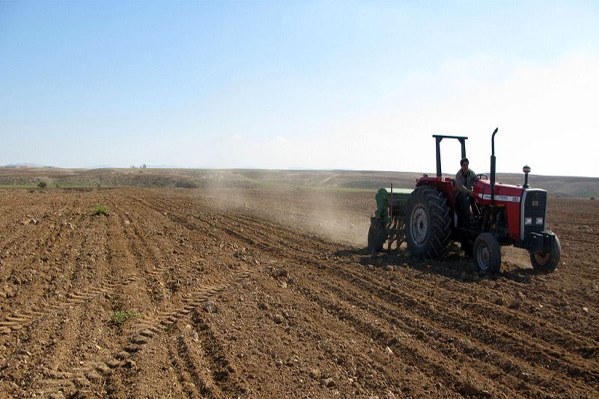 کشت پاییزه غلات