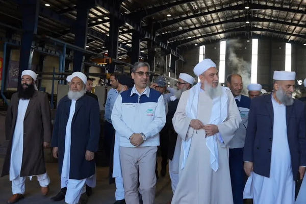  مدیرعامل فولاد سنگان: توسعه صنایع معدنی، پیشران اشتغال و آبادانی کشور