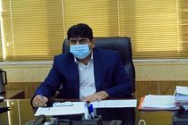 تولید گندم در ایلام سه برابر نیاز مصرف استان است