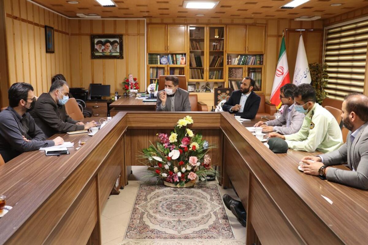 ساماندهی سگ های ولگرد