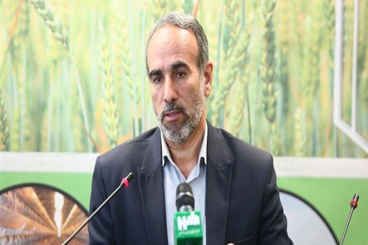 حاجی رضا