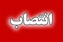 مدیرکل جدید اداره تعاون، کار و رفاه اجتماعی خوزستان منصوب شد