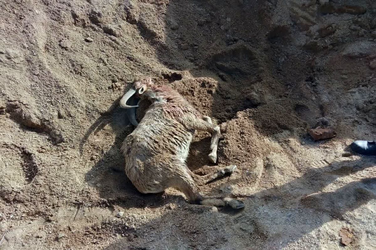 IMG_20230222_125623_008