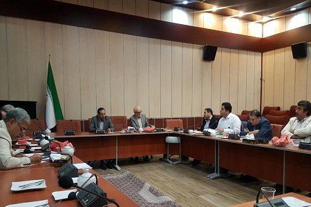 اگر شیوه نامه ها نتوانند این سوالات را پاسخ دهند فقط کلیات است
