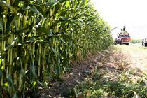 توانمندسازی کشاورزان و دامدارن در راستای تحقق اقتصاد مقاومتی