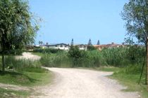 اراضی جنگلی واگذاری در محمودآباد مازندران محیط زیستی نیست