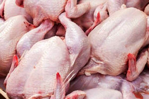 ثابت شدن قیمت ها در بیشتر اقلام خوراکی به جز مرغ