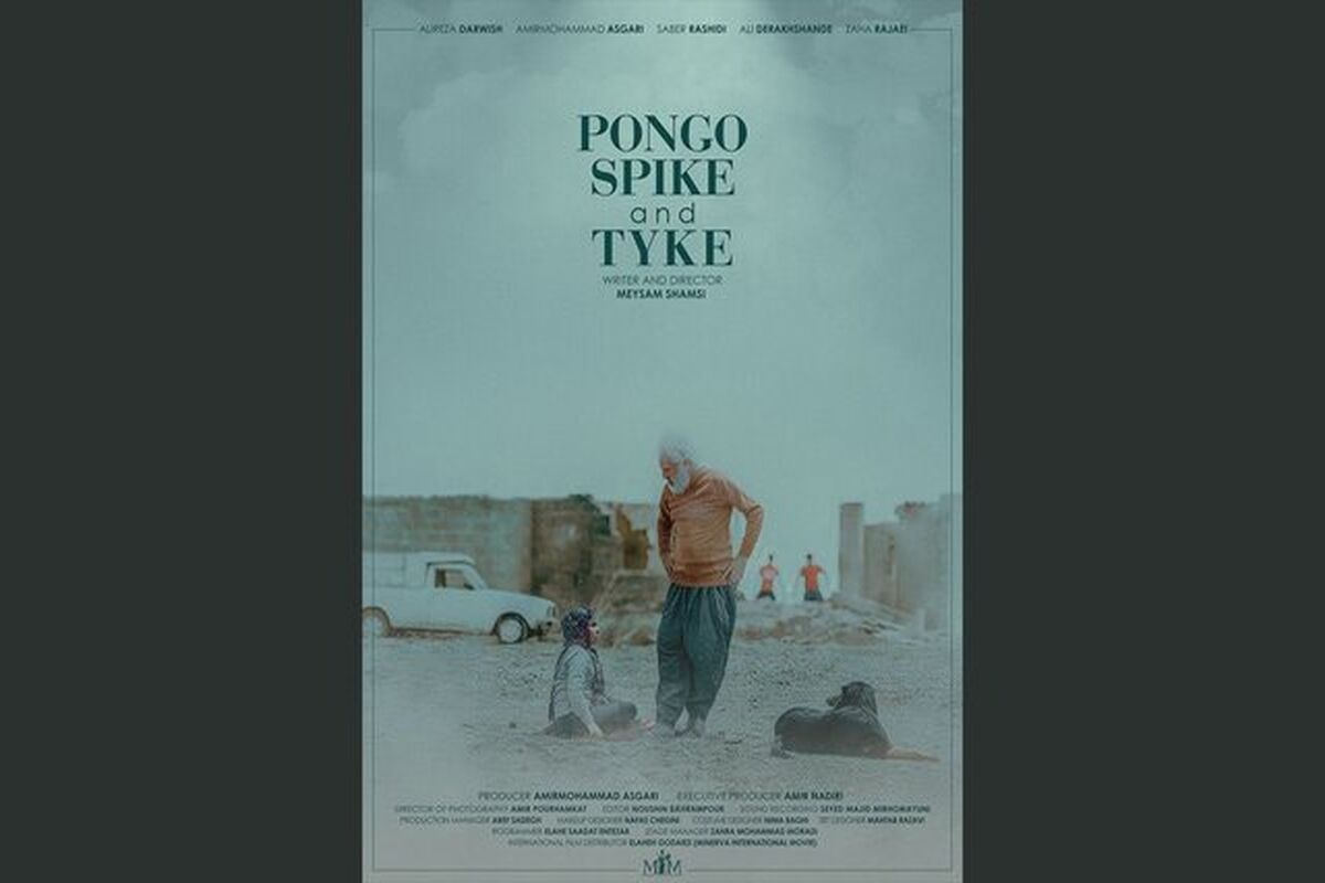 فیلم کوتاه
