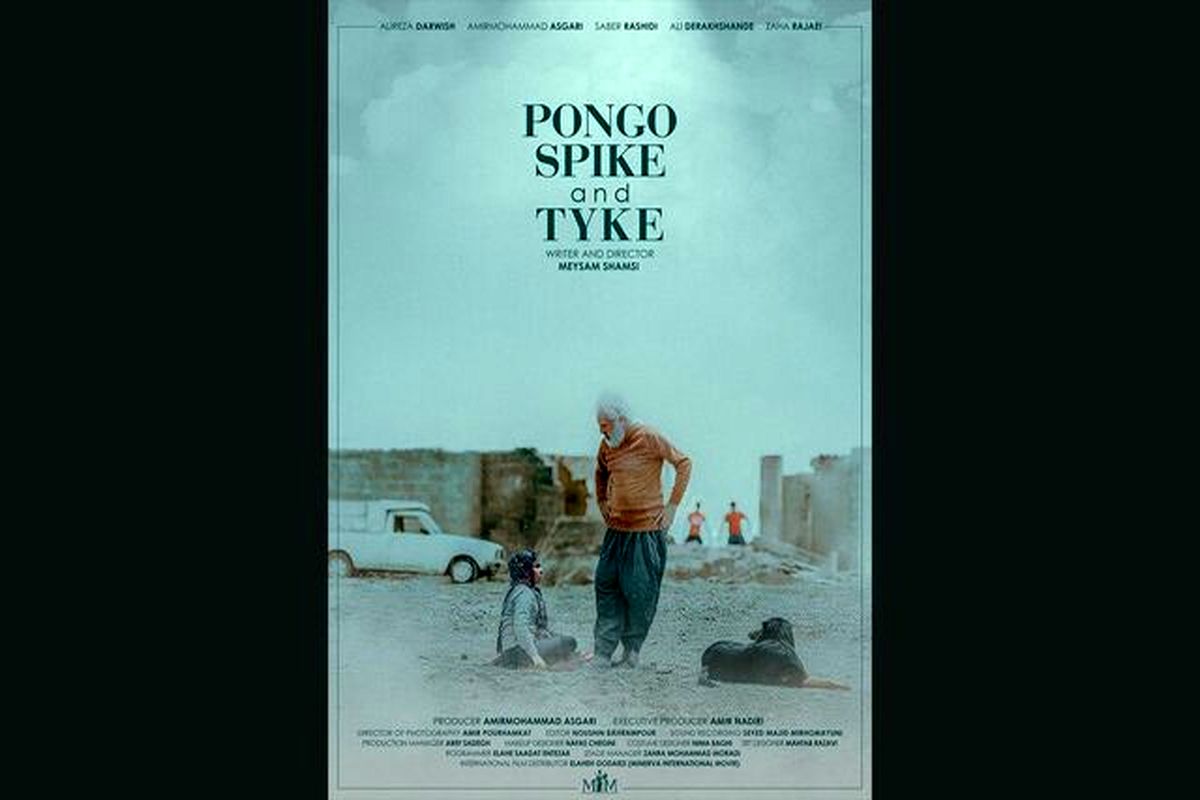 فیلم کوتاه