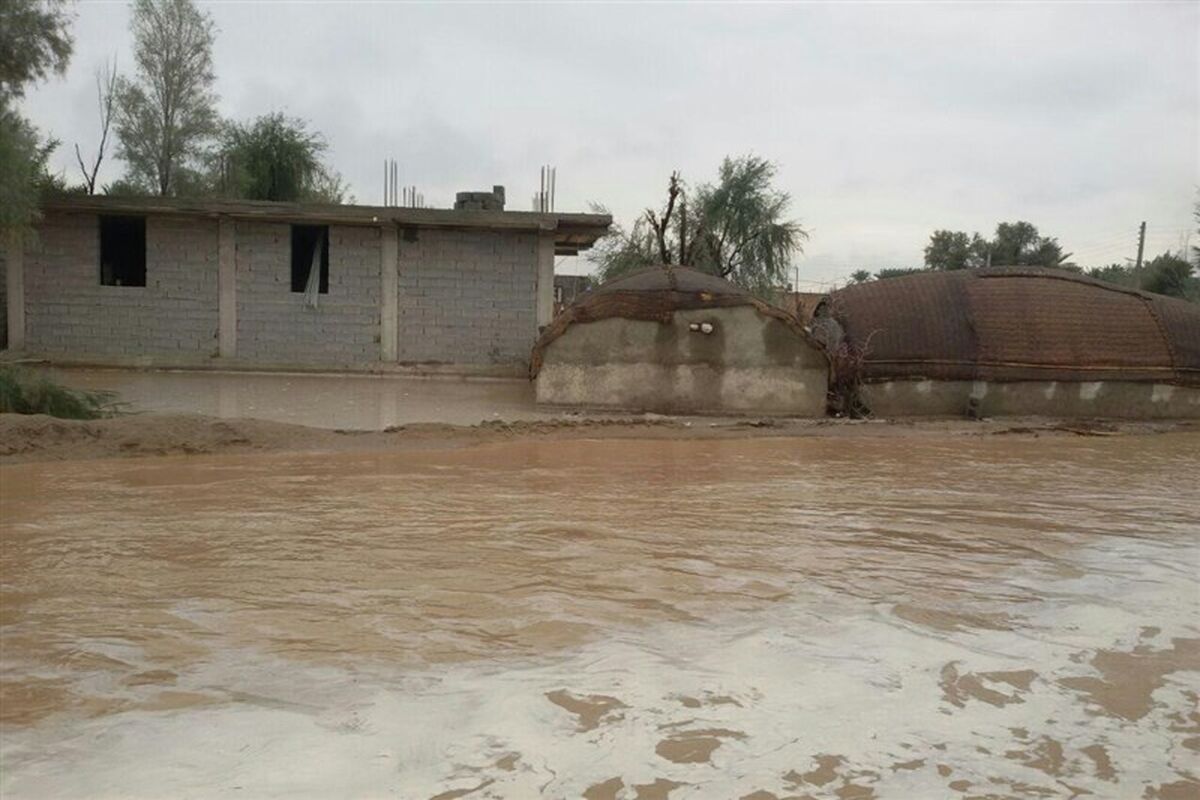 سیل